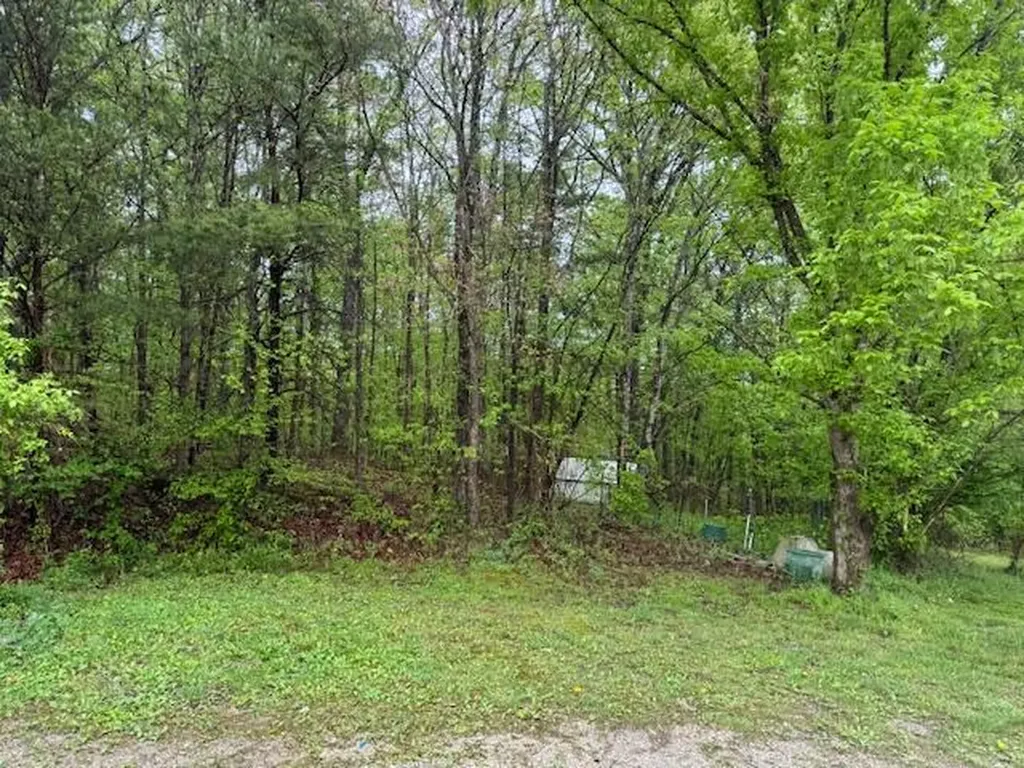 315 Moonbeam Lane Williamsburg KY 40769