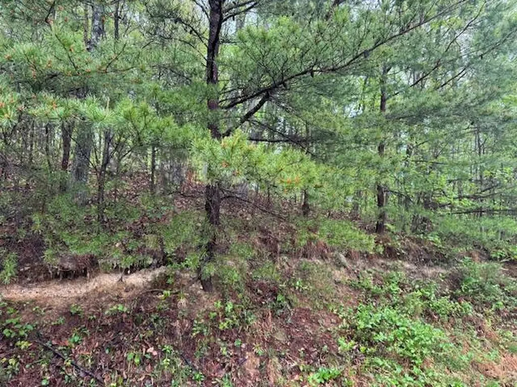 315 Moonbeam Lane Williamsburg KY 40769