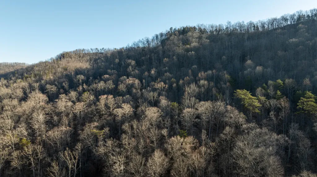 9999 North Bend Road Stanton KY 40380