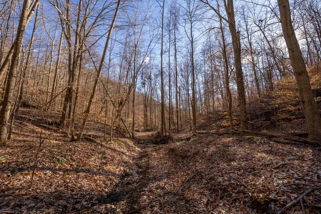 9999 North Bend Road Stanton KY 40380