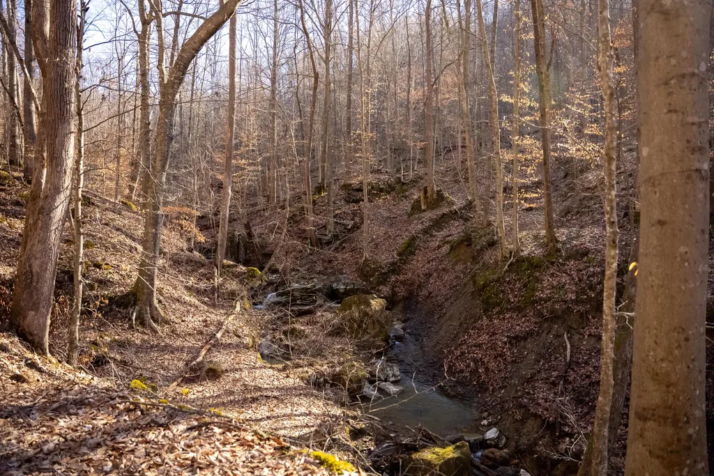 9999 North Bend Road Stanton KY 40380