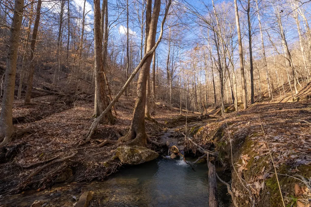 9999 North Bend Road Stanton KY 40380