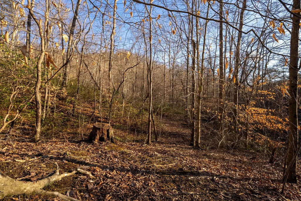 9999 North Bend Road Stanton KY 40380
