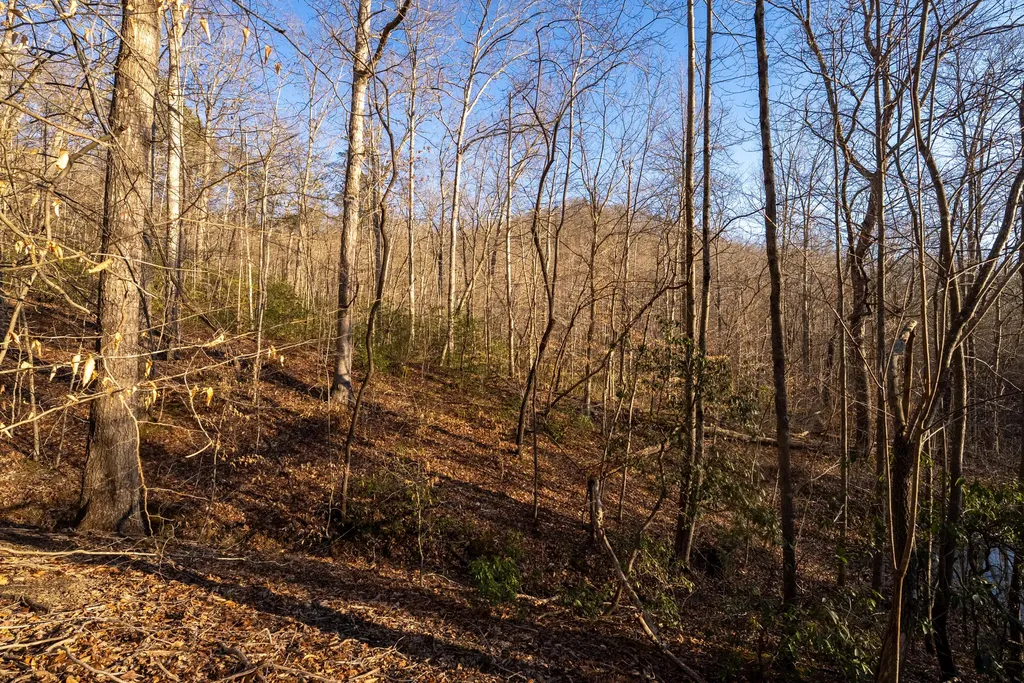 9999 North Bend Road Stanton KY 40380