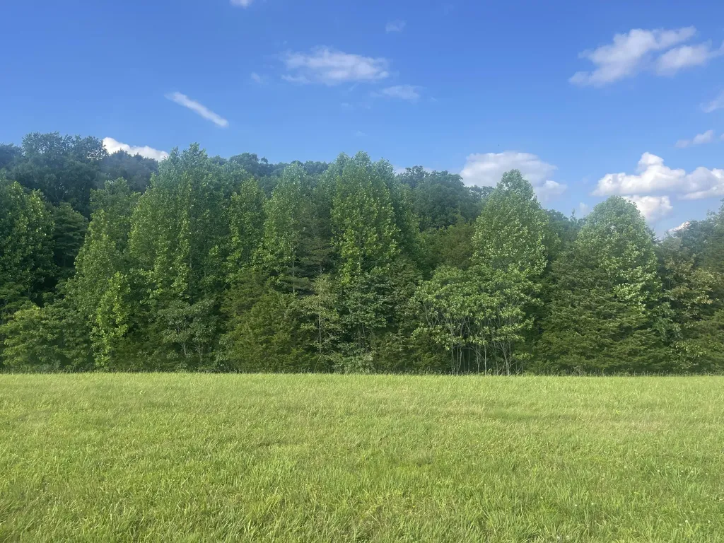 17 Lots Parks Ridge Subdivision Road Russell Springs KY 42642