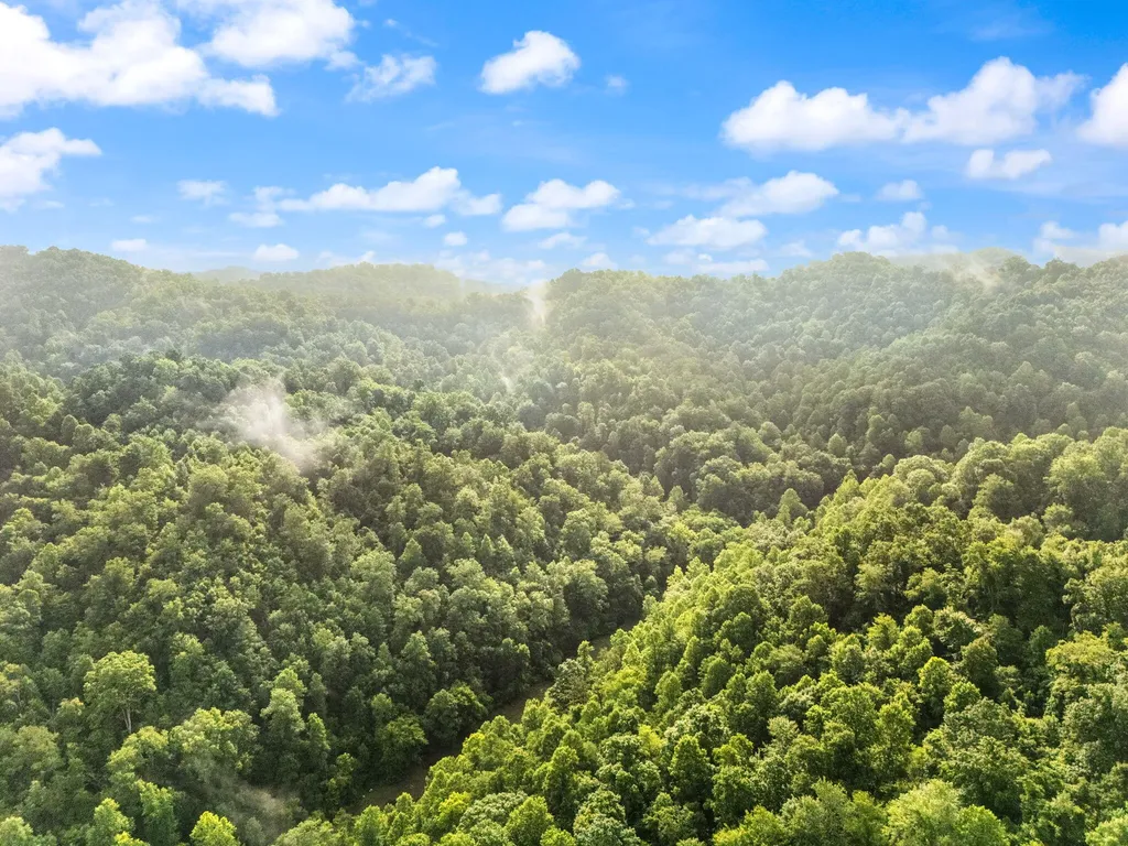 492 Sugar Camp Road Booneville KY 41314