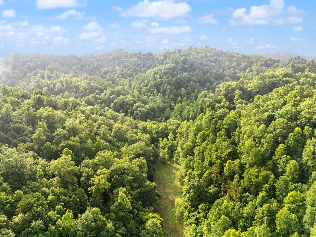 492 Sugar Camp Road Booneville KY 41314