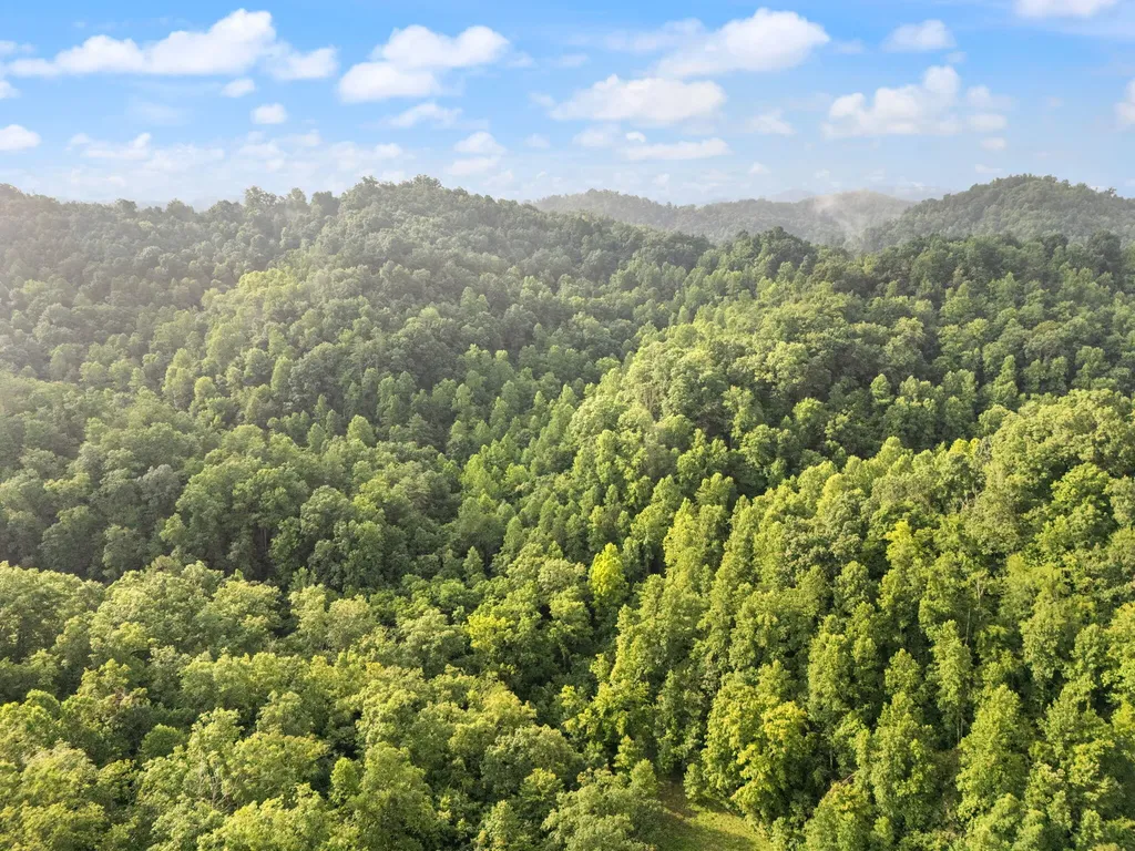 492 Sugar Camp Road Booneville KY 41314