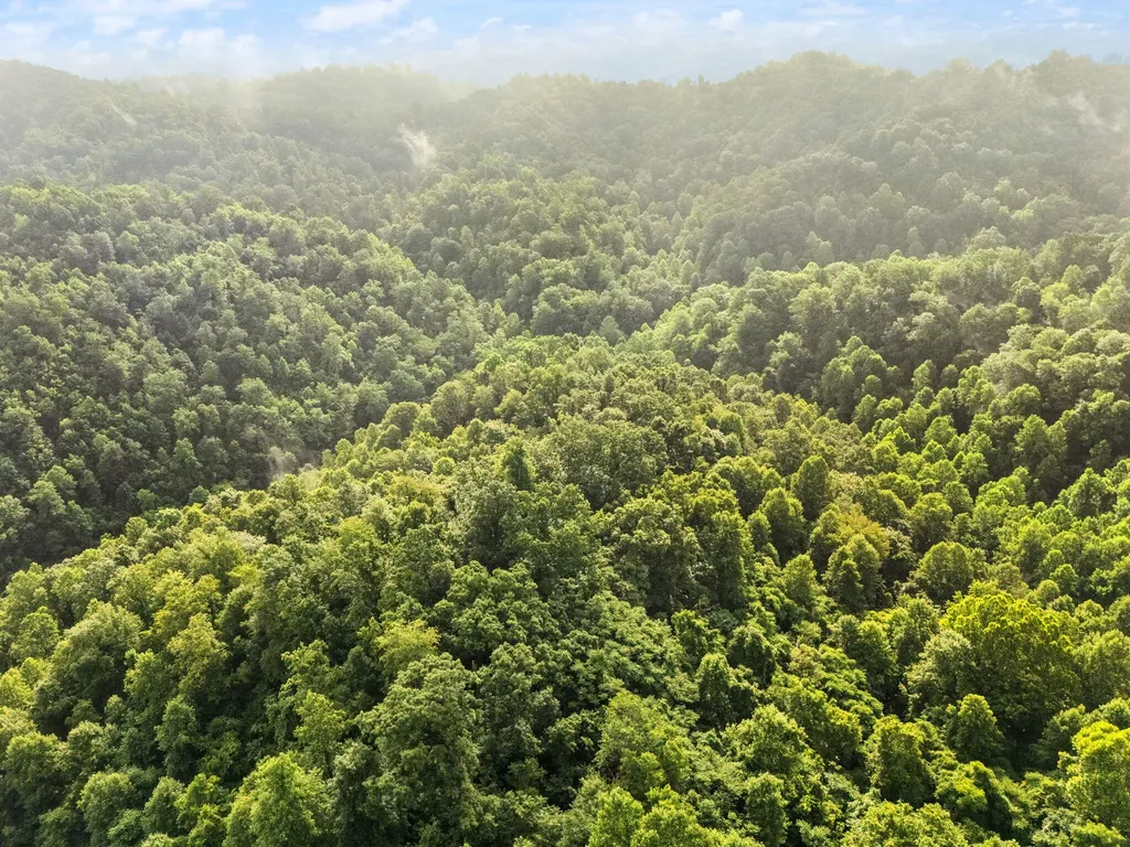 492 Sugar Camp Road Booneville KY 41314