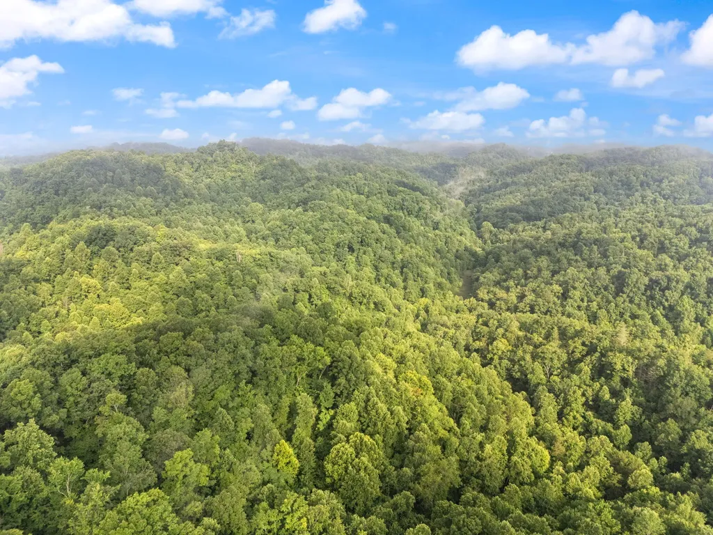 492 Sugar Camp Road Booneville KY 41314