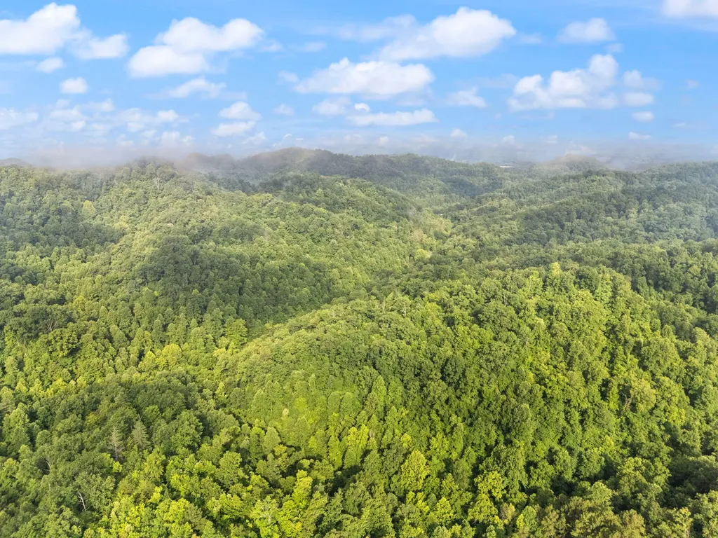 492 Sugar Camp Road Booneville KY 41314
