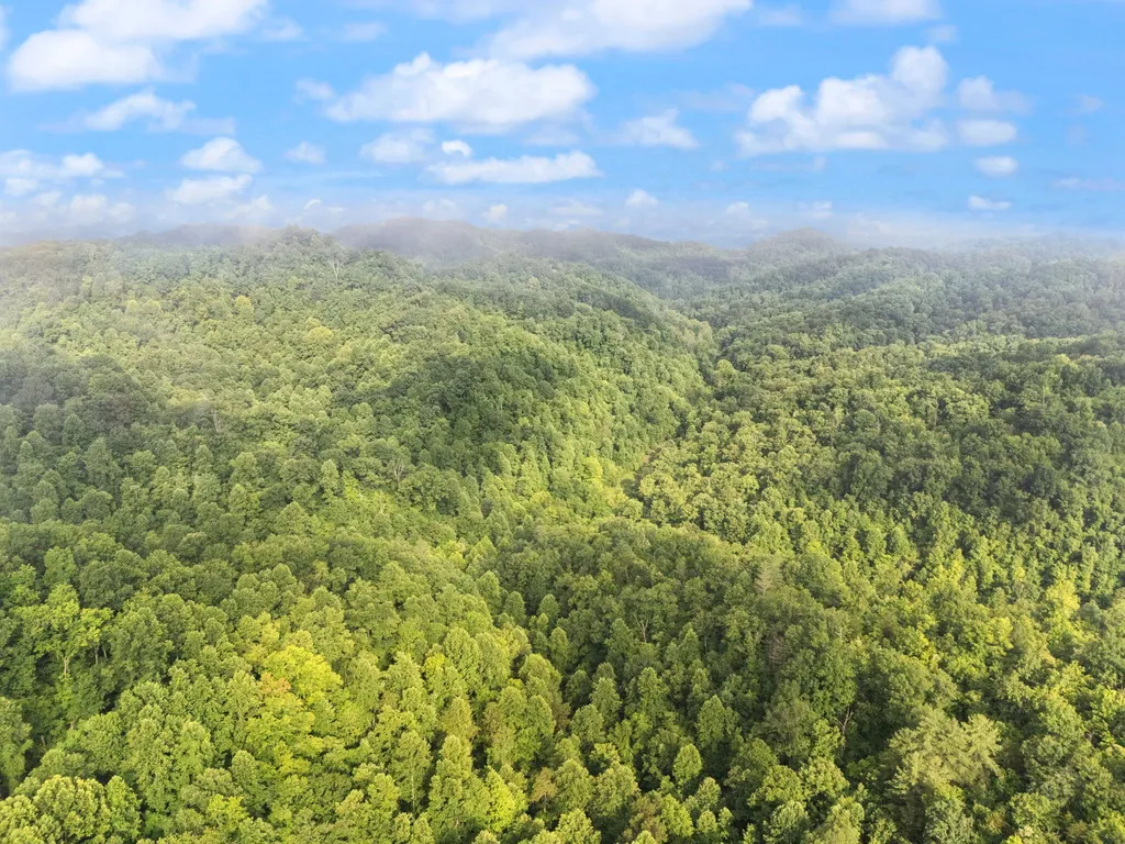 492 Sugar Camp Road Booneville KY 41314