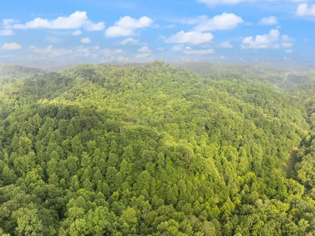 492 Sugar Camp Road Booneville KY 41314