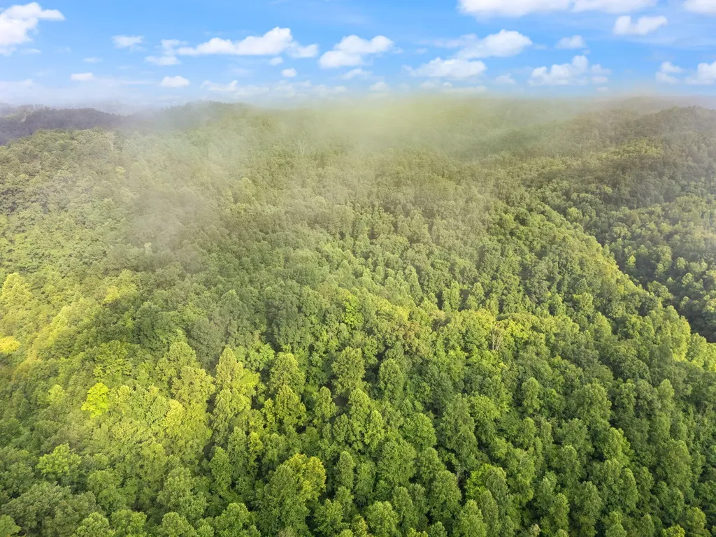 492 Sugar Camp Road Booneville KY 41314