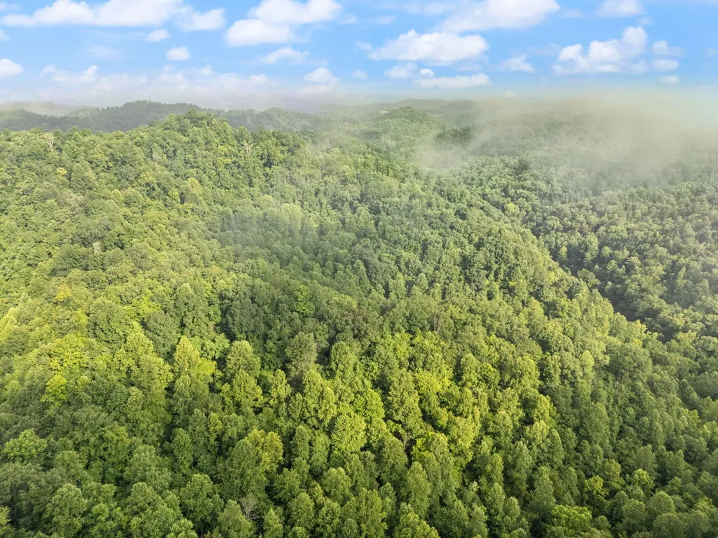 492 Sugar Camp Road Booneville KY 41314