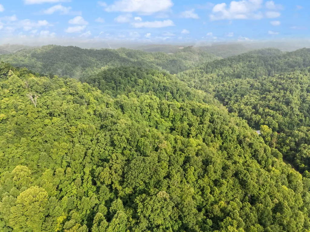 492 Sugar Camp Road Booneville KY 41314