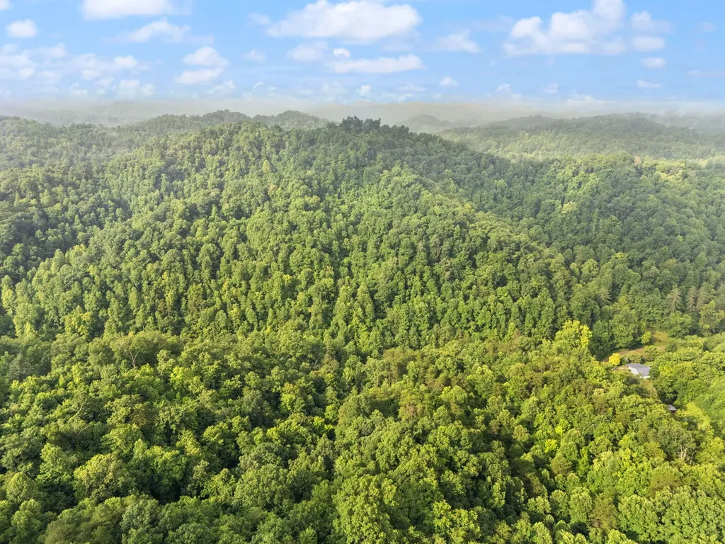 492 Sugar Camp Road Booneville KY 41314