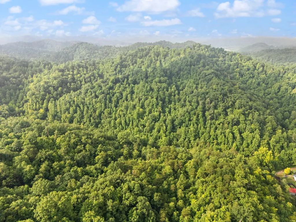 492 Sugar Camp Road Booneville KY 41314