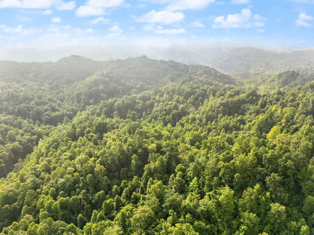 492 Sugar Camp Road Booneville KY 41314