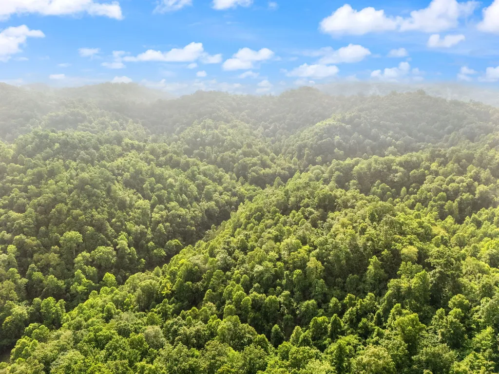 492 Sugar Camp Road Booneville KY 41314