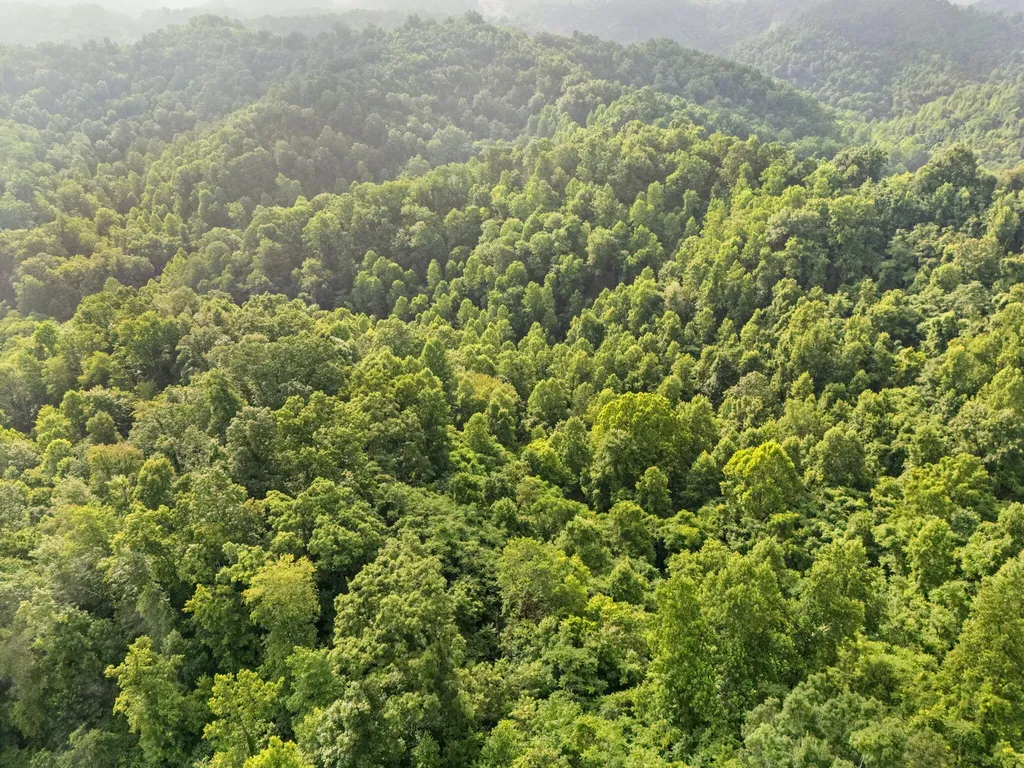 492 Sugar Camp Road Booneville KY 41314