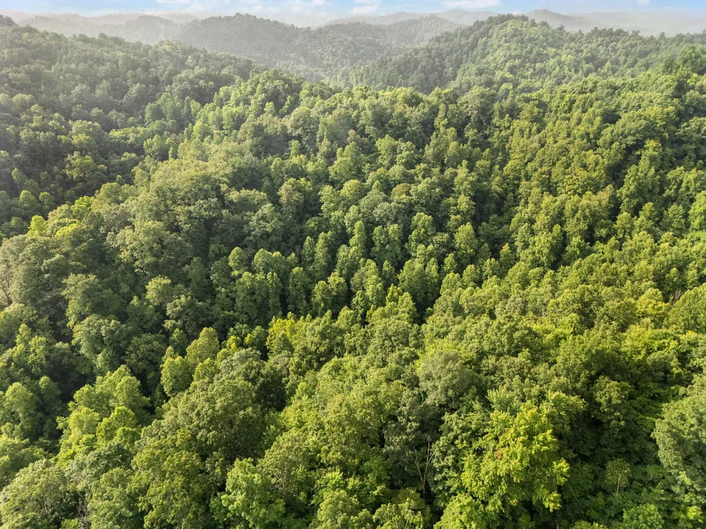 492 Sugar Camp Road Booneville KY 41314