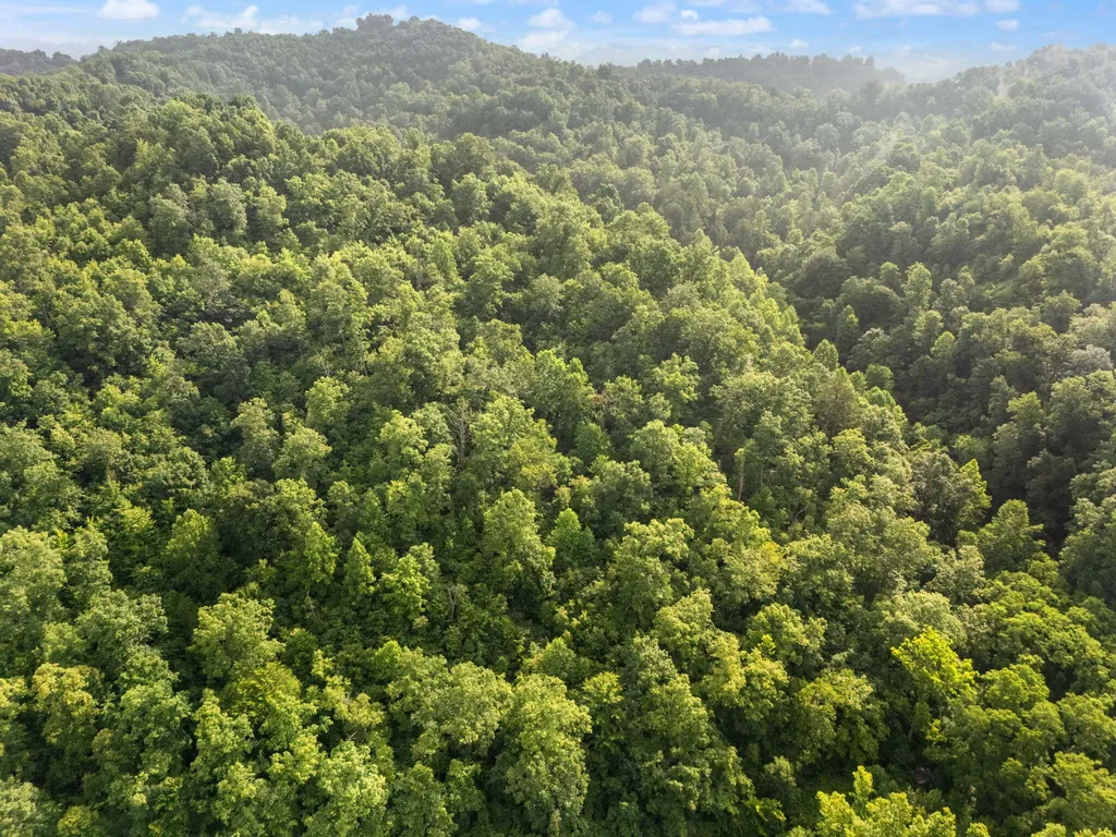 492 Sugar Camp Road Booneville KY 41314