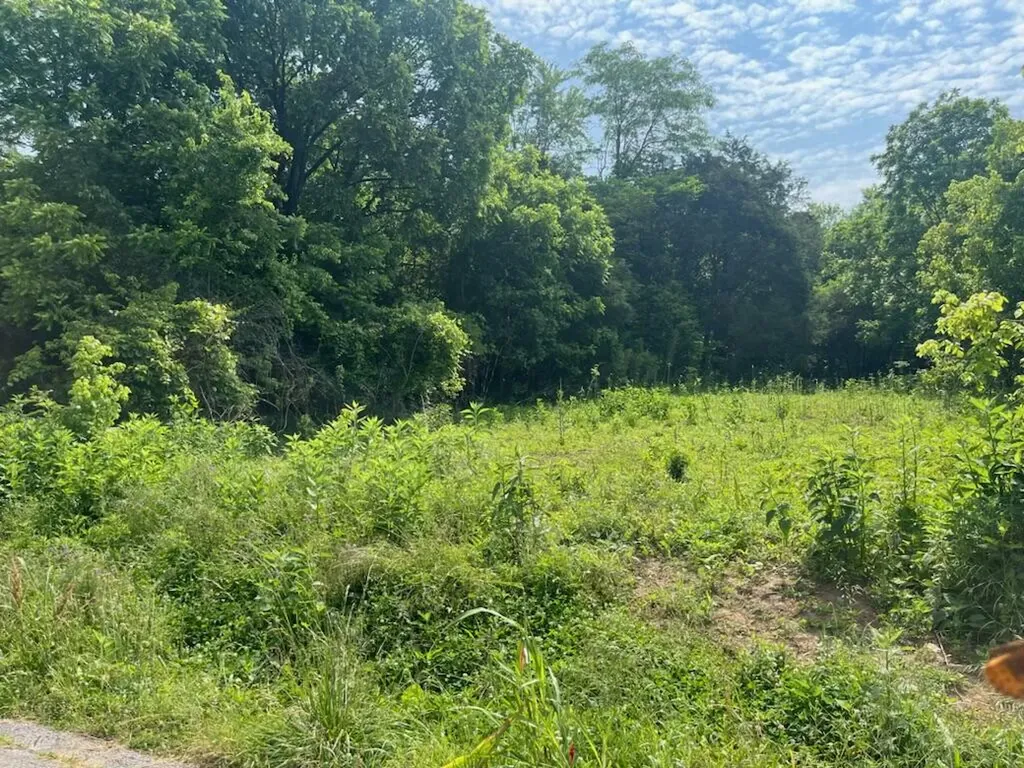 Lot 26 Rock Springs Road Celina TN 38551