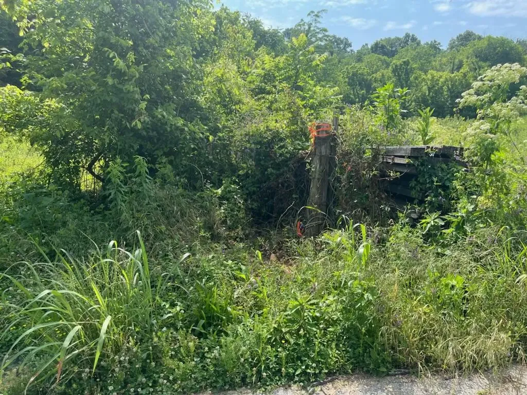 Lot 26 Rock Springs Road Celina TN 38551