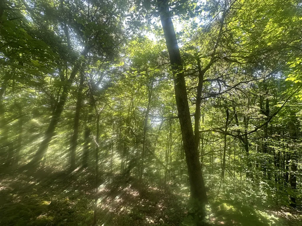 Lot 26 Rock Springs Road Celina TN 38551