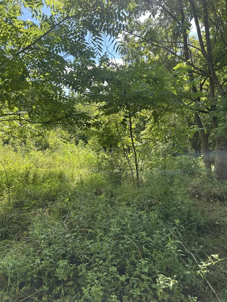 139 Dorsey Tolson Road Campton KY 41301