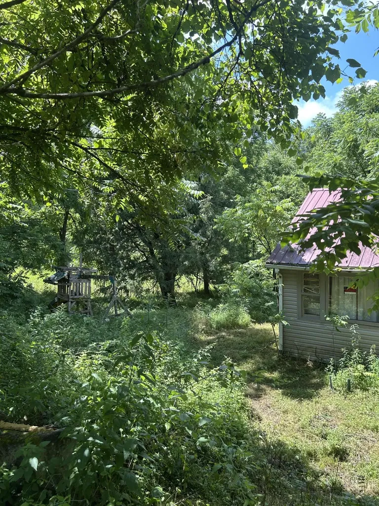 139 Dorsey Tolson Road Campton KY 41301