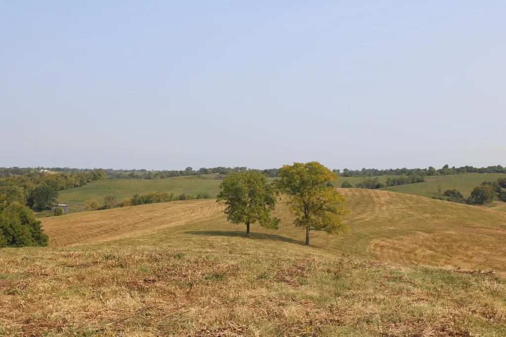 1272-X Moorefield Road Carlisle KY 40311