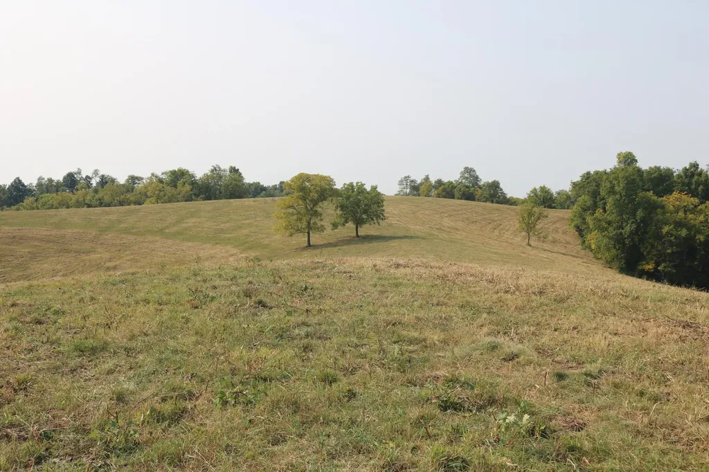 1272-X Moorefield Road Carlisle KY 40311