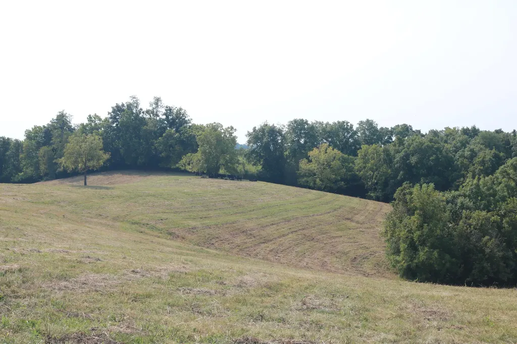 1272-X Moorefield Road Carlisle KY 40311