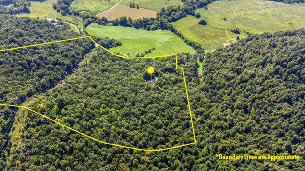 3902 Red Lick Road Irvine KY 40336
