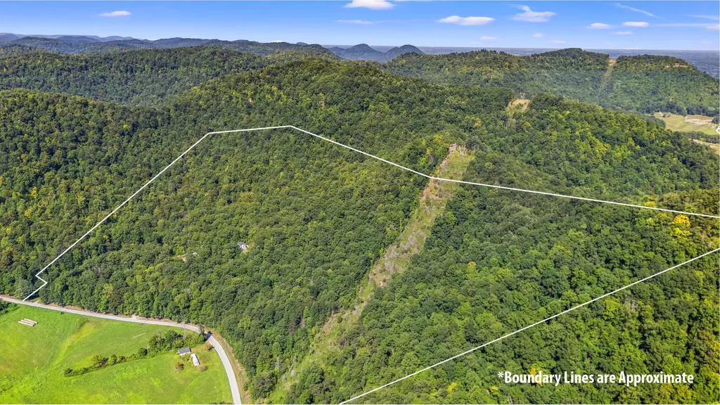 3902 Red Lick Road Irvine KY 40336