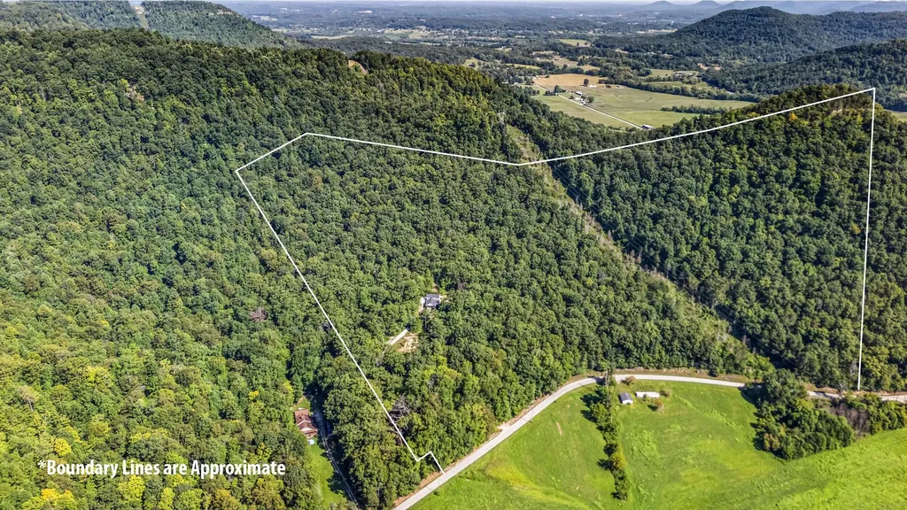 3902 Red Lick Road Irvine KY 40336