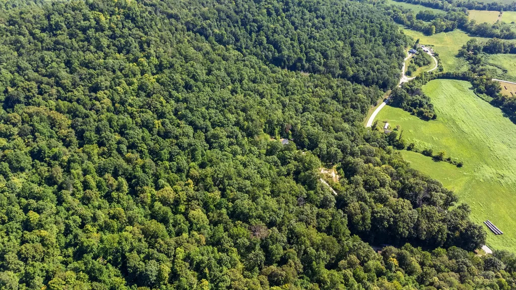 3902 Red Lick Road Irvine KY 40336