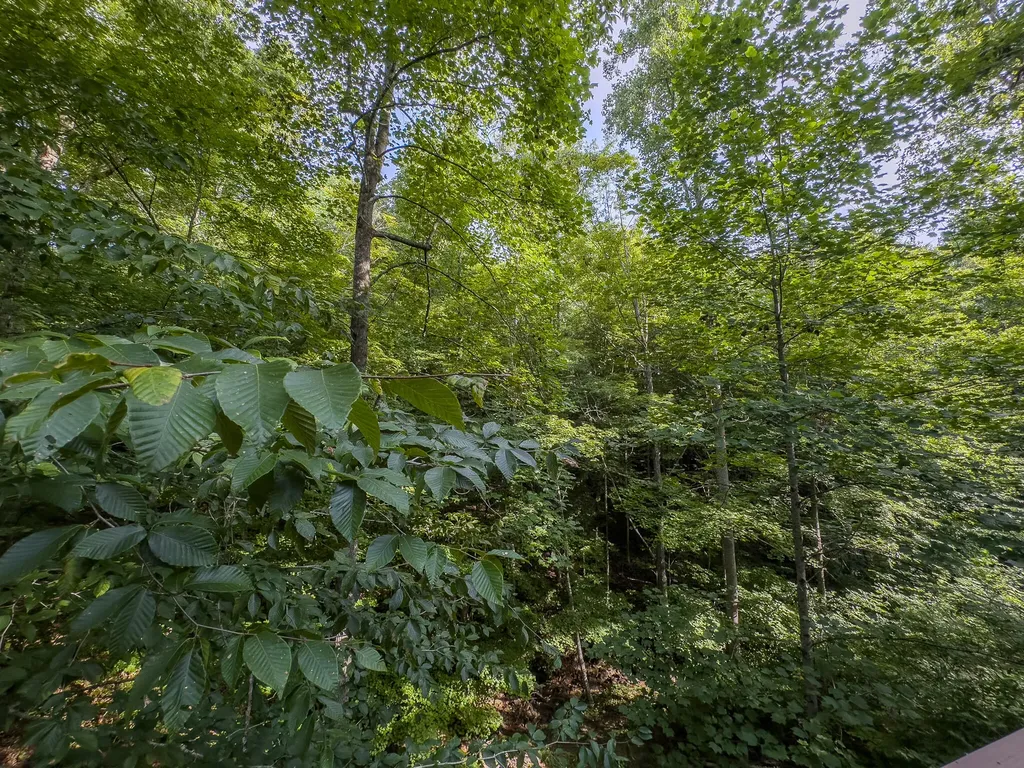 253 Stoneybrook Road Burnside KY 42519