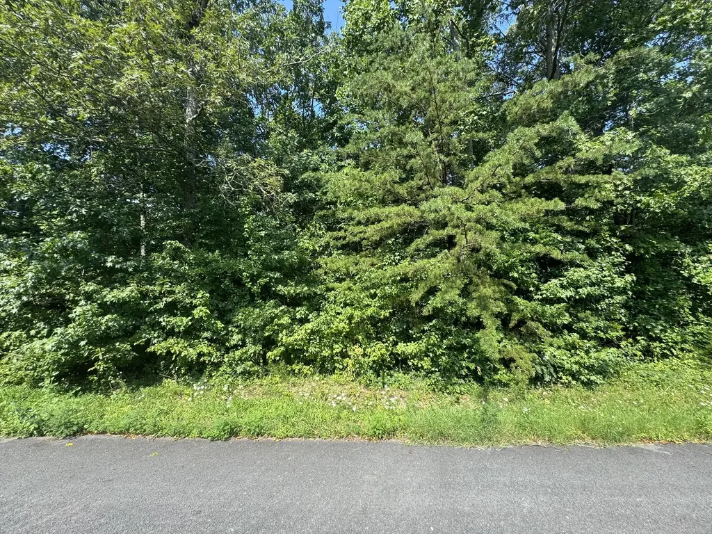 32 Hickory Drive Russell Springs KY 42642