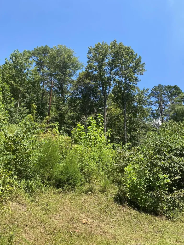 6270 Highway 192 Somerset KY 42501