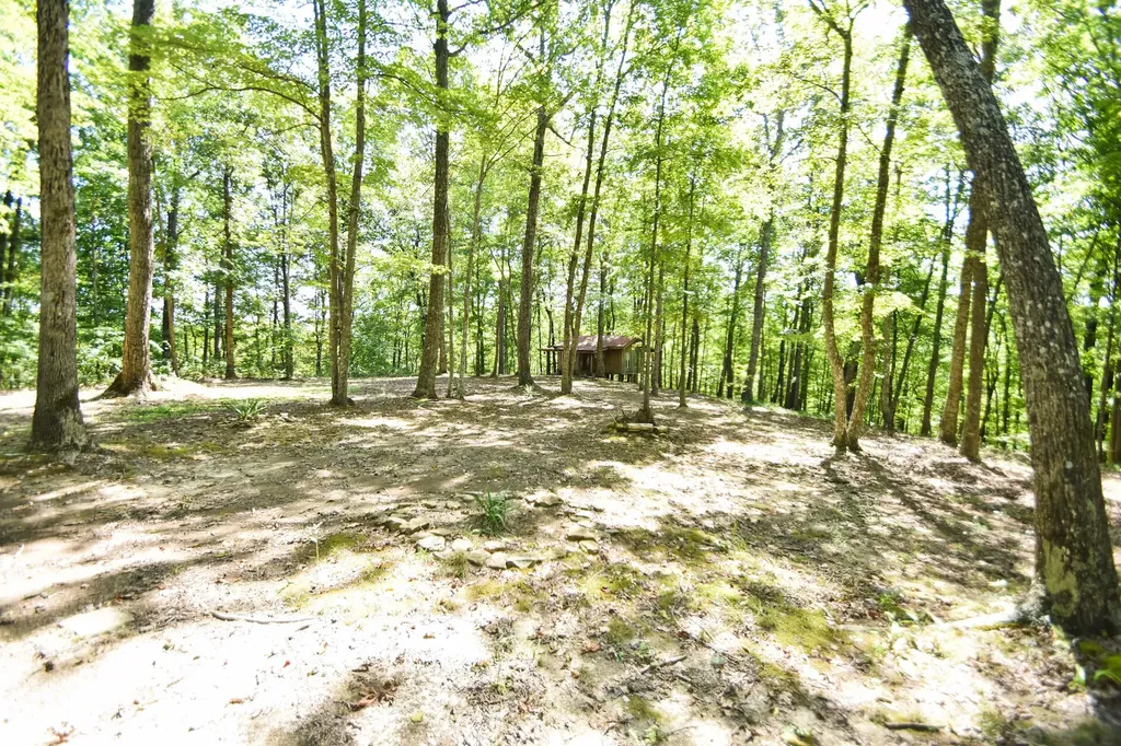 0 Carpenters Ridge Road Mckee KY 40447