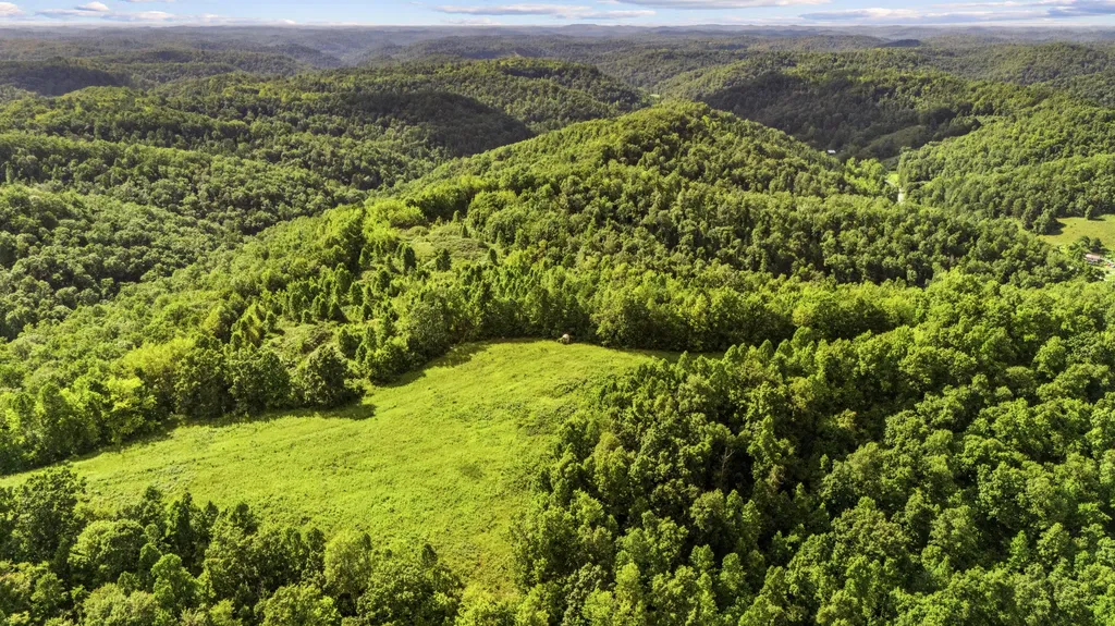 1552 Coffee Creek West Liberty KY 41472