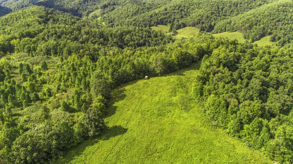 1552 Coffee Creek West Liberty KY 41472