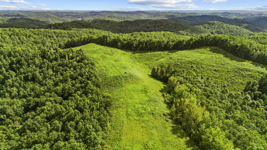 1552 Coffee Creek West Liberty KY 41472