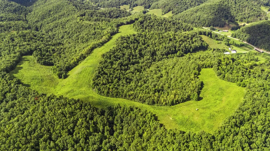 1552 Coffee Creek West Liberty KY 41472