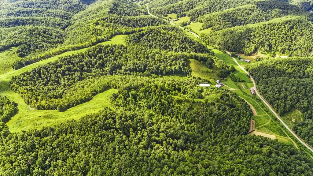 1552 Coffee Creek West Liberty KY 41472