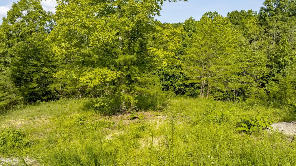 61 Brittany Drive Monticello KY 42633