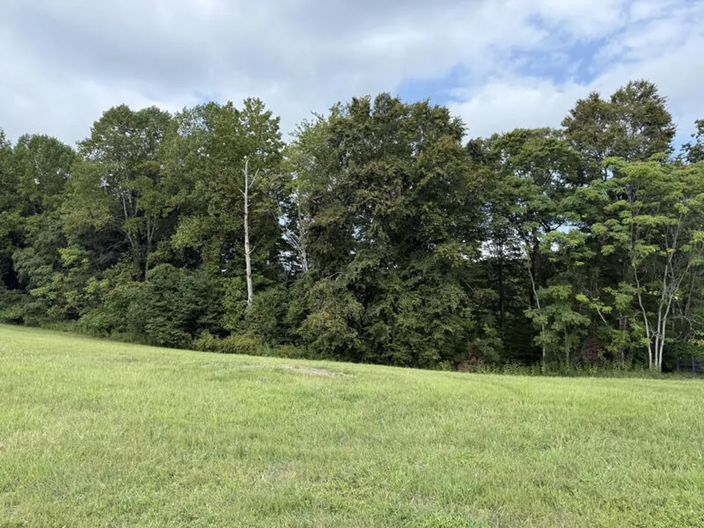 Lot 92 Stillwater Russell Springs KY 42642
